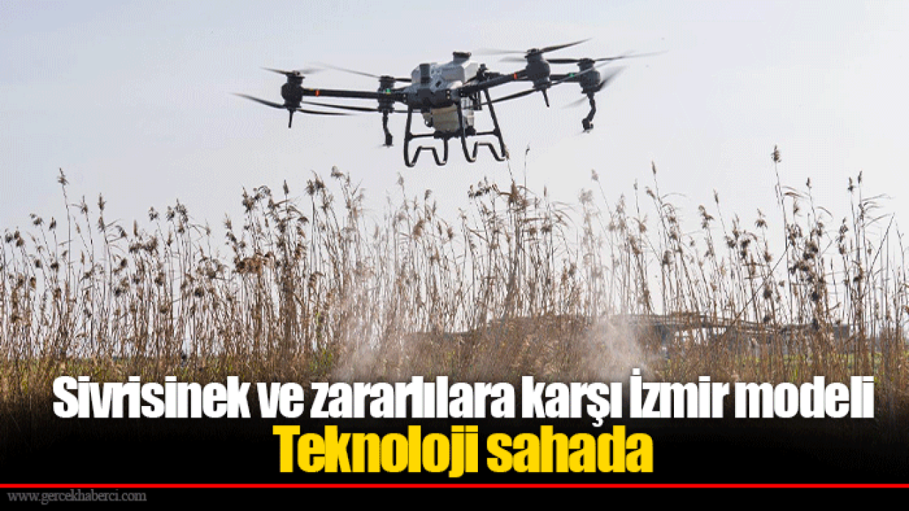Sivrisinek ve zararlılara karşı İzmir modeli