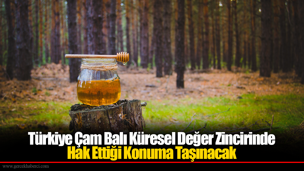 Türkiye Çam Balı Küresel Değer Zincirinde Hak Ettiği Konuma Taşınacak