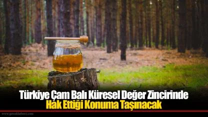 Türkiye Çam Balı Küresel Değer Zincirinde Hak Ettiği Konuma Taşınacak