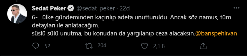 Sedat Peker: Yüksek mevkideki bürokratların ve siyasilerin kurtarılabilmesi için eski AK Parti İzmir il ikinci başkanı Ahmet Kurtuluş'u öldürttüler