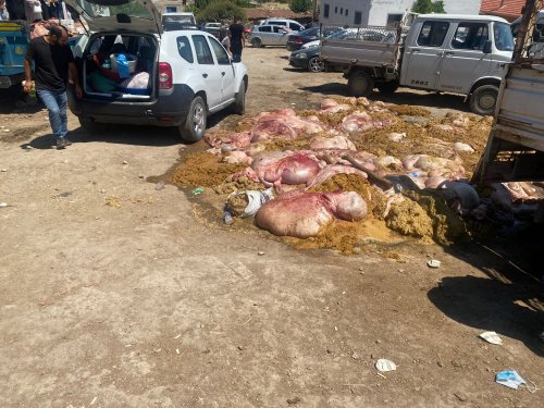 Menderes'in köylerinden kurban görüntüleri!