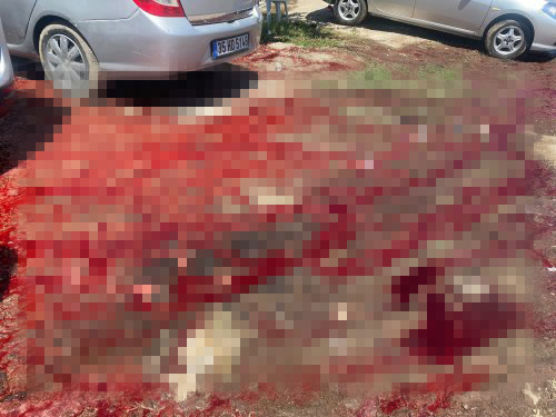 Menderes'in köylerinden kurban görüntüleri!
