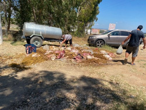 Menderes'in köylerinden kurban görüntüleri!