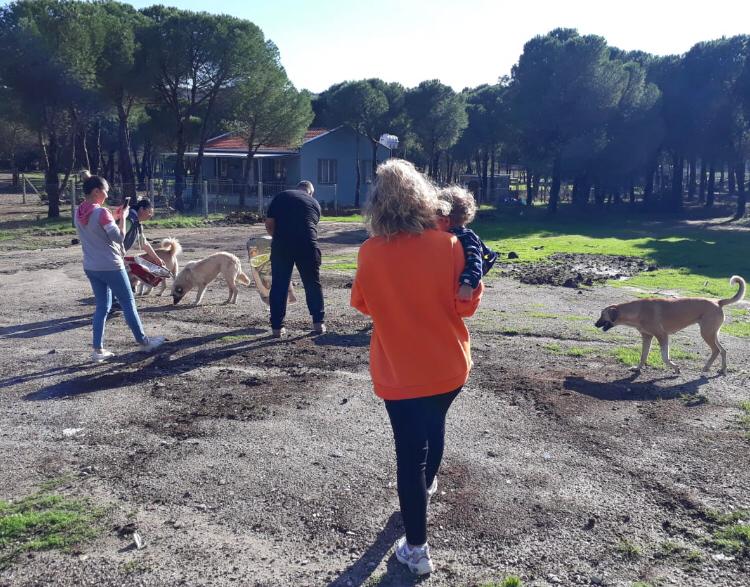 Genç Parti 6 köpek kulübesi ve mama dağıtımı yaptı:  “İnsanlar kendilerini doyuramıyorlar ki hayvanları doyurabilsinler!”