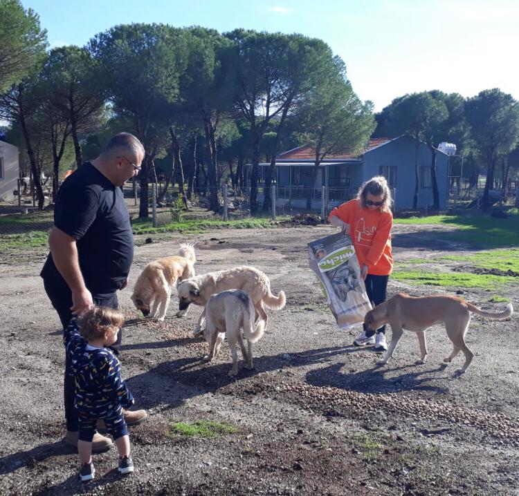 Genç Parti 6 köpek kulübesi ve mama dağıtımı yaptı:  “İnsanlar kendilerini doyuramıyorlar ki hayvanları doyurabilsinler!”