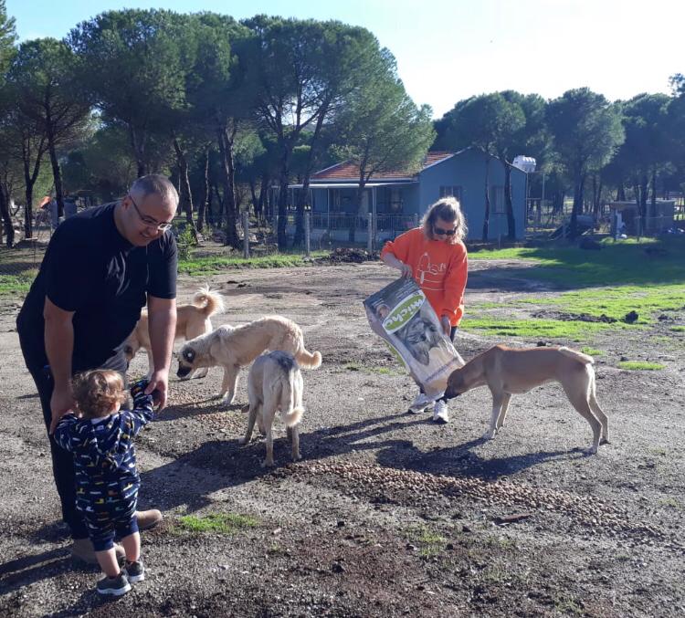 Genç Parti 6 köpek kulübesi ve mama dağıtımı yaptı:  “İnsanlar kendilerini doyuramıyorlar ki hayvanları doyurabilsinler!”