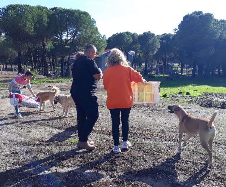 Genç Parti 6 köpek kulübesi ve mama dağıtımı yaptı:  “İnsanlar kendilerini doyuramıyorlar ki hayvanları doyurabilsinler!”