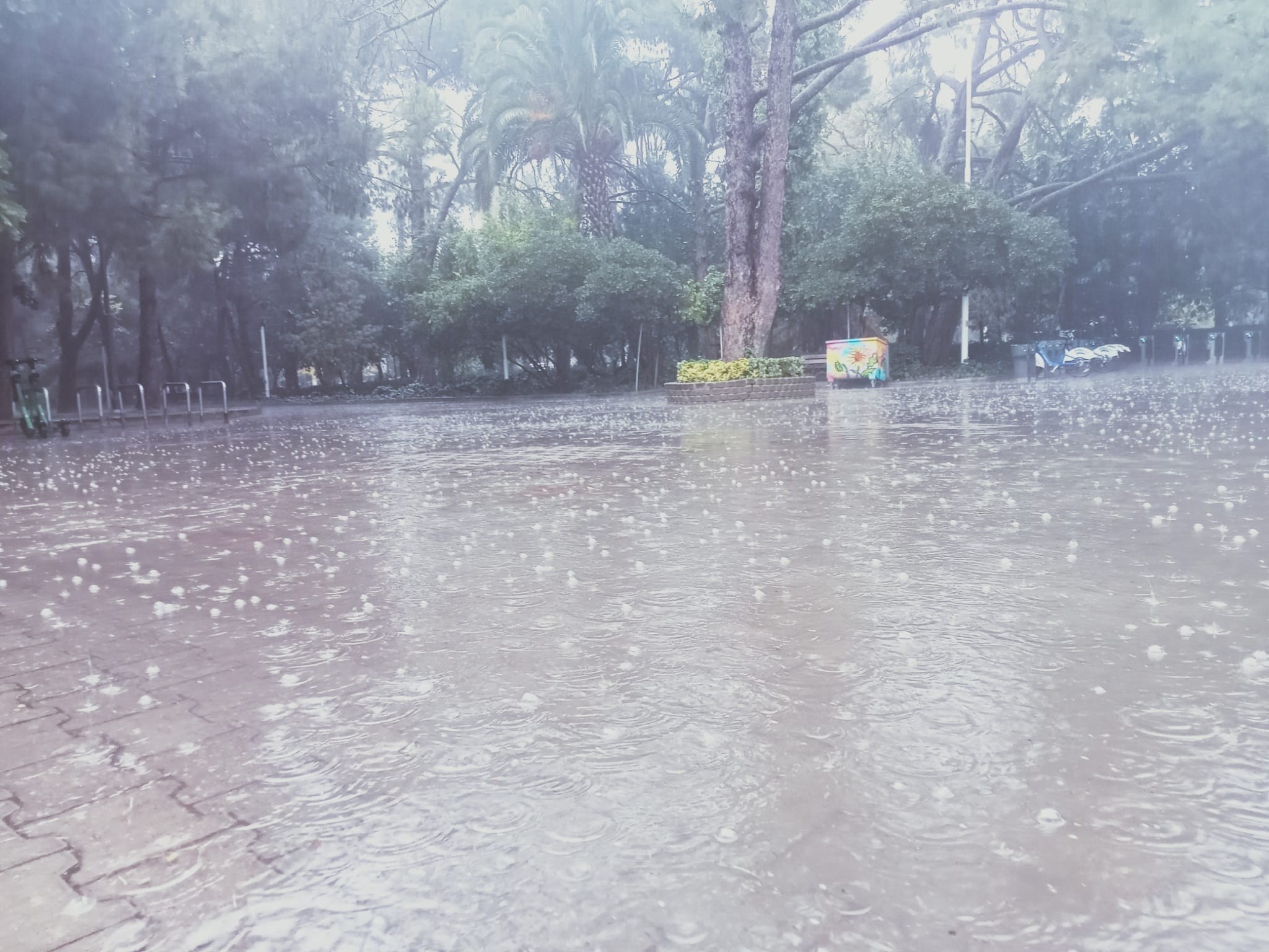 İzmir'de aniden bastıran yağmur hayatı felç etti