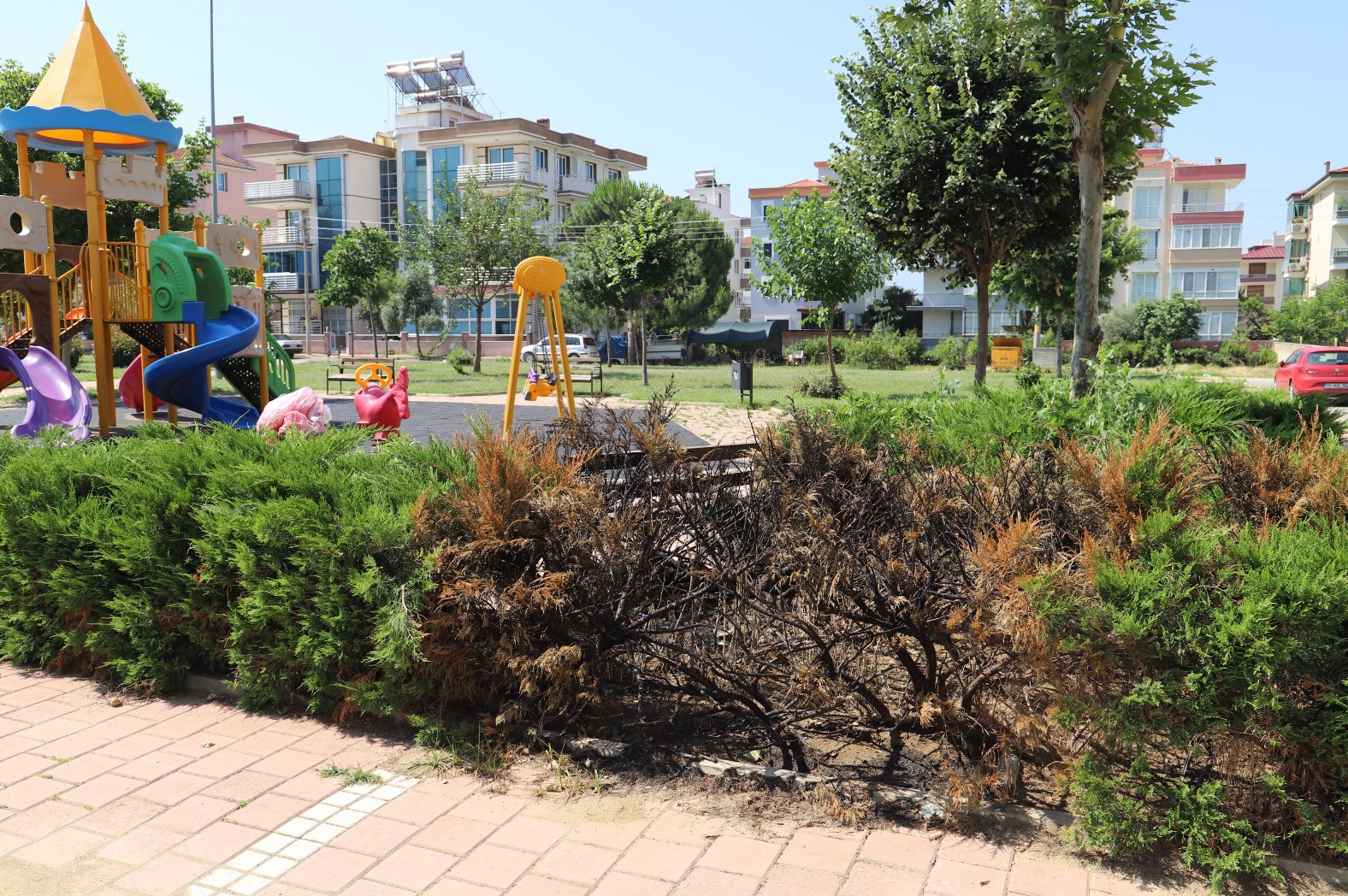 Parkta üzücü görüntüler: Şehir magandaları yine zarar verdi 