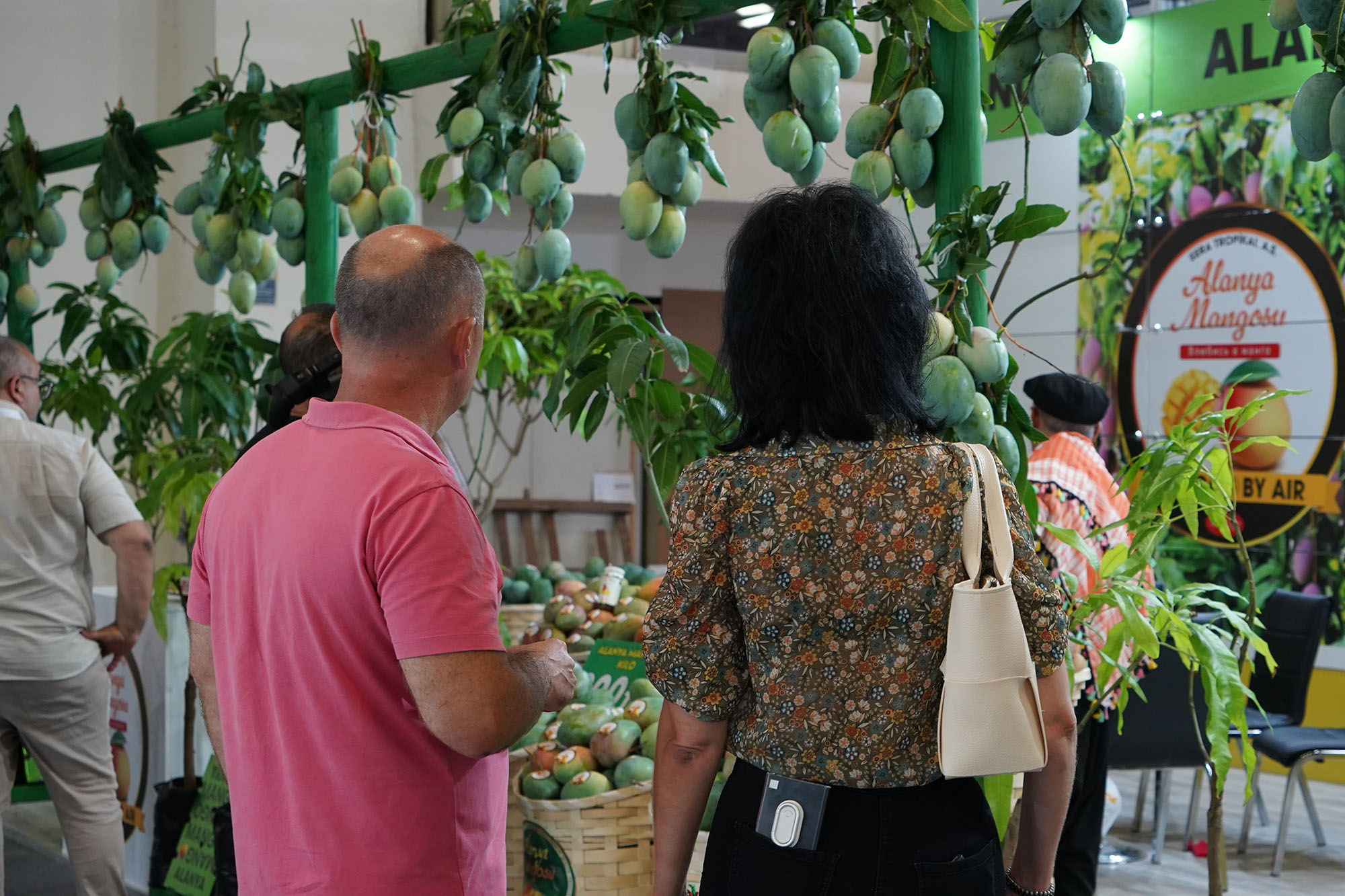 İnterfresh fuarında meyvenin dört hali tanıtılacak, Türk ihracatçısı dünyanın dört bir tarafına ihraç edecek