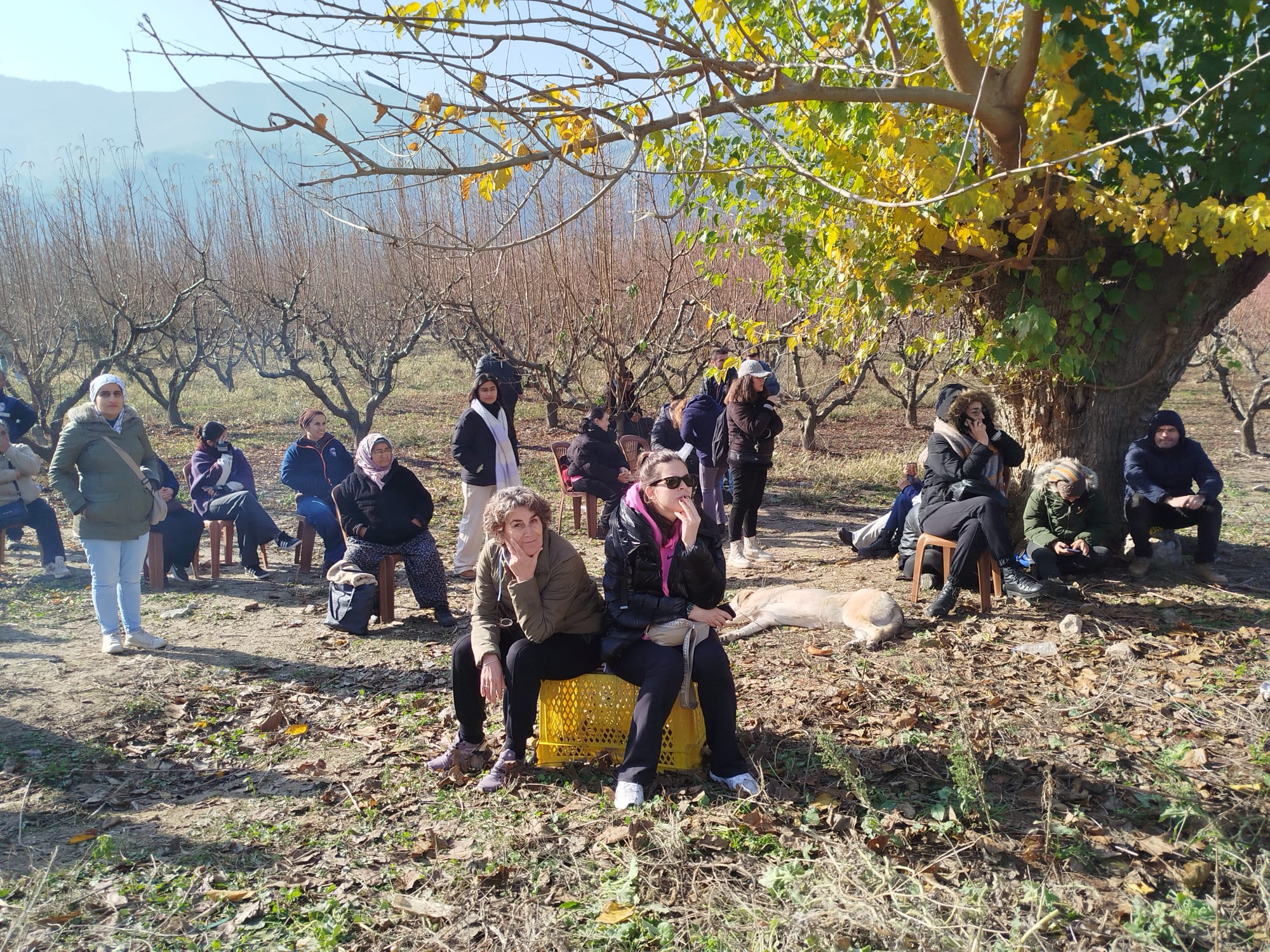 Meryem Ana tur şirketlerine serbest halka yasak