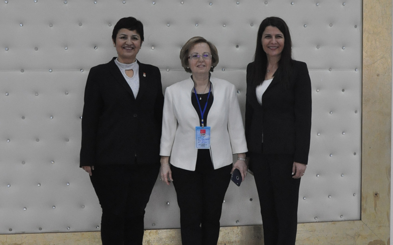 CHP'li kadınların kongre günü 8