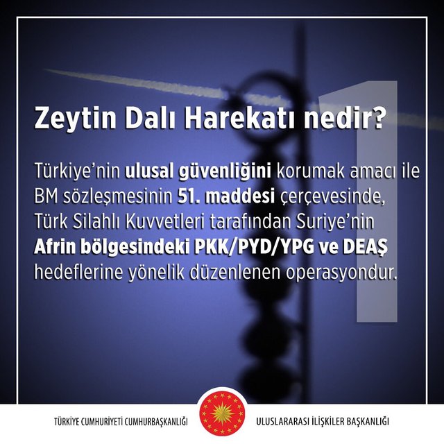 Cumhurbaşkanlığı'ndan Zeytin Dalı Harekatı'yla ilgili 10 soruya 10 cevap 4