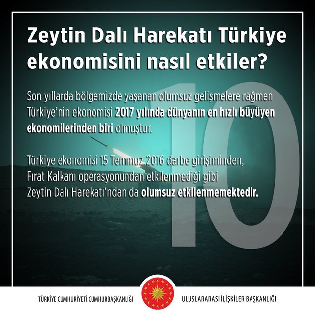 Cumhurbaşkanlığı'ndan Zeytin Dalı Harekatı'yla ilgili 10 soruya 10 cevap 13