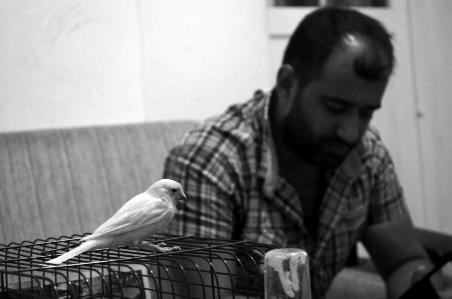 Gaziemir Belediyesi’nde Mülteci Hayatlar Sergisi 12