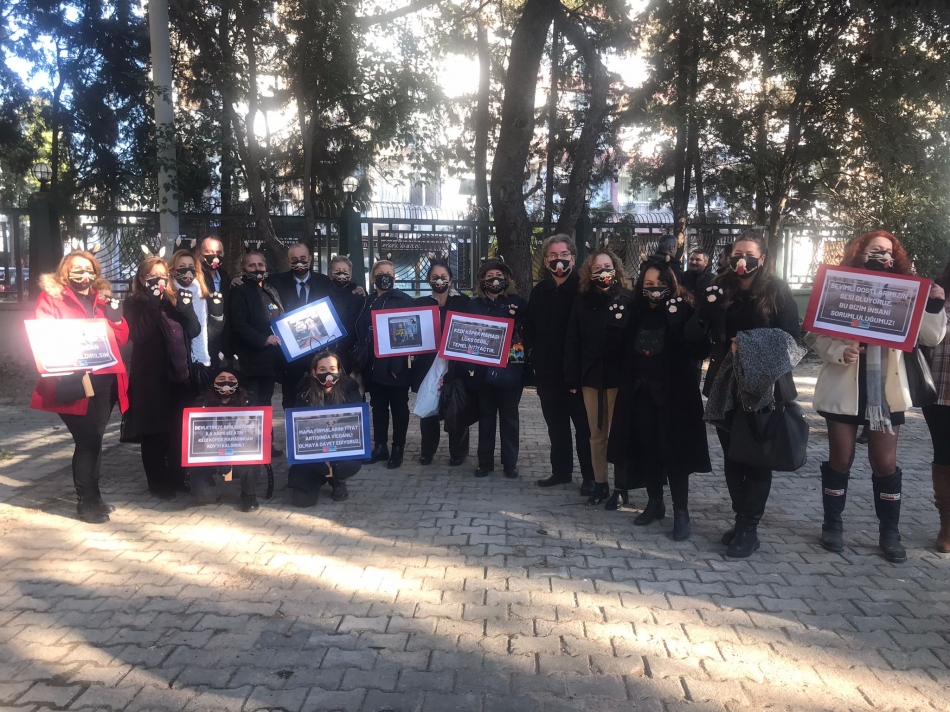 CHP Konak mama fiyatlarındaki yüzde 18 KDV'ye tepki gösterdi: "Patili dostlarımız aç kalmasın" 2