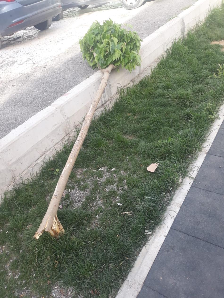 Konak’ta çocuk parkına saldırı 2