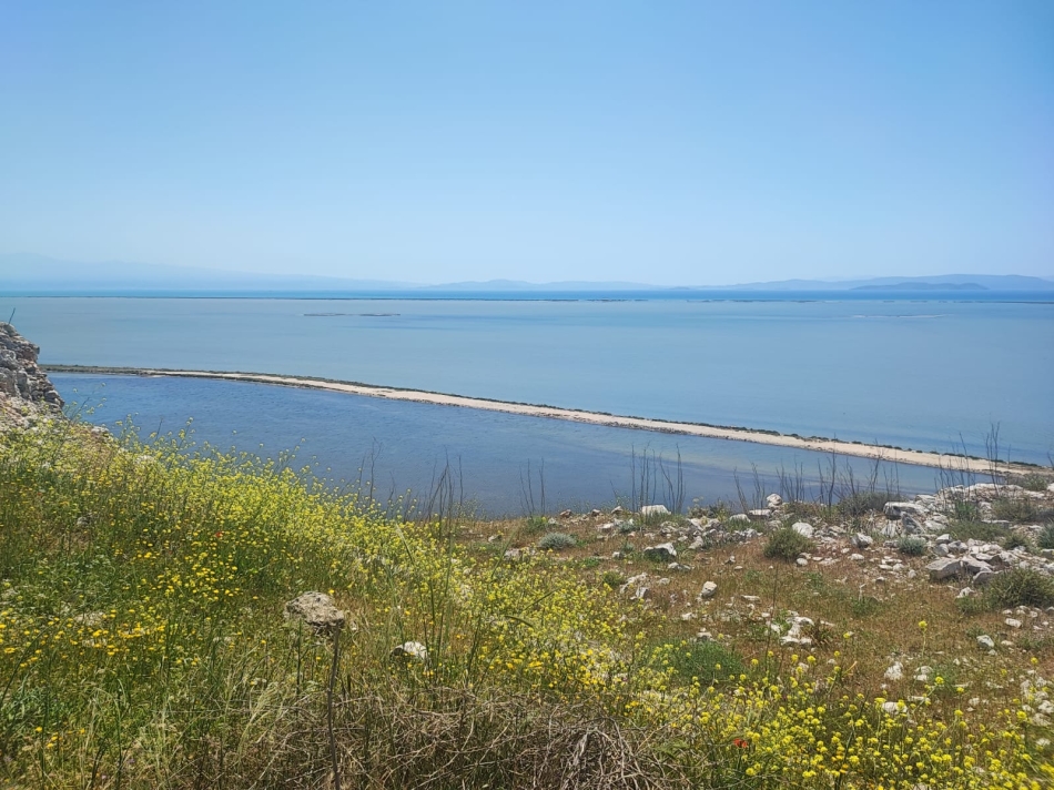 Çiğli'de gençler biyoçeşitliliği ve iklim krizini tartıştı 6