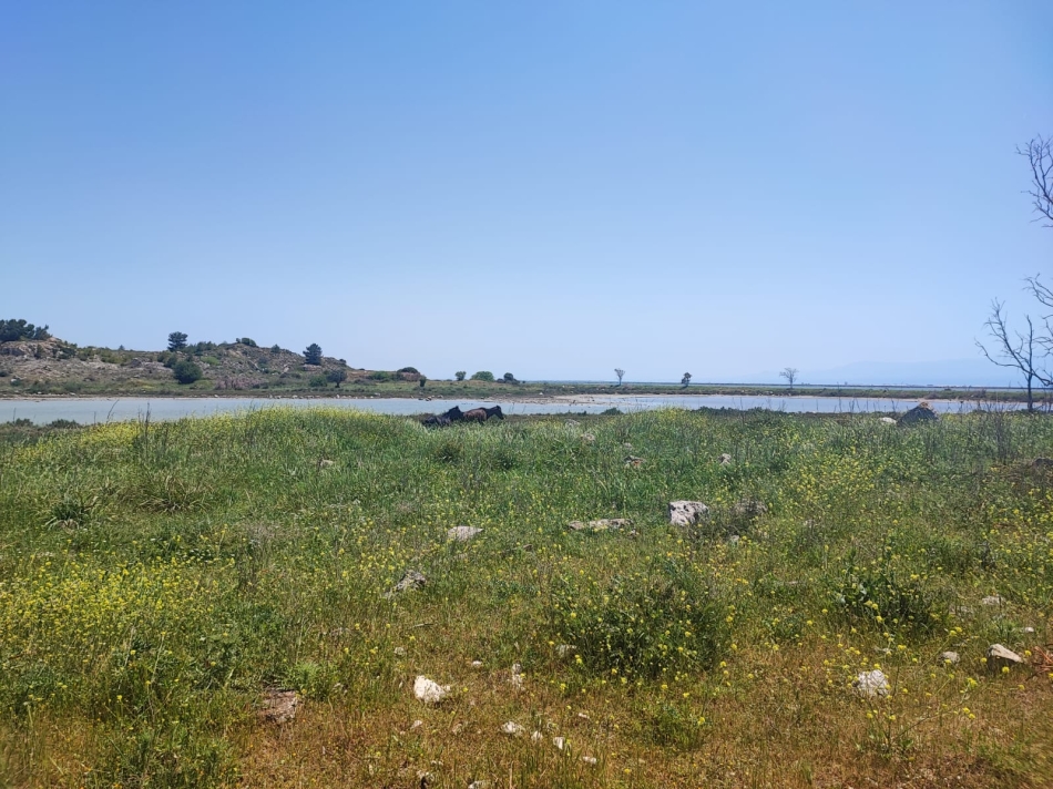 Çiğli'de gençler biyoçeşitliliği ve iklim krizini tartıştı 5