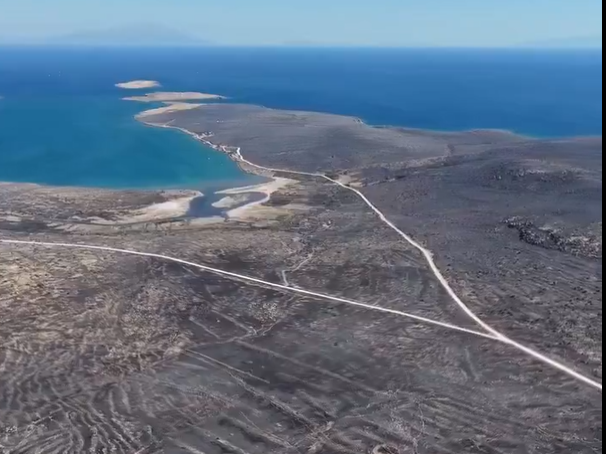 Çeşme'de Yürek Yakan Tahribat: Orman Yangını Ardında Kül Olmuş Bir Doğa Bıraktı 1